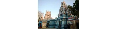 ஆலங்குடி